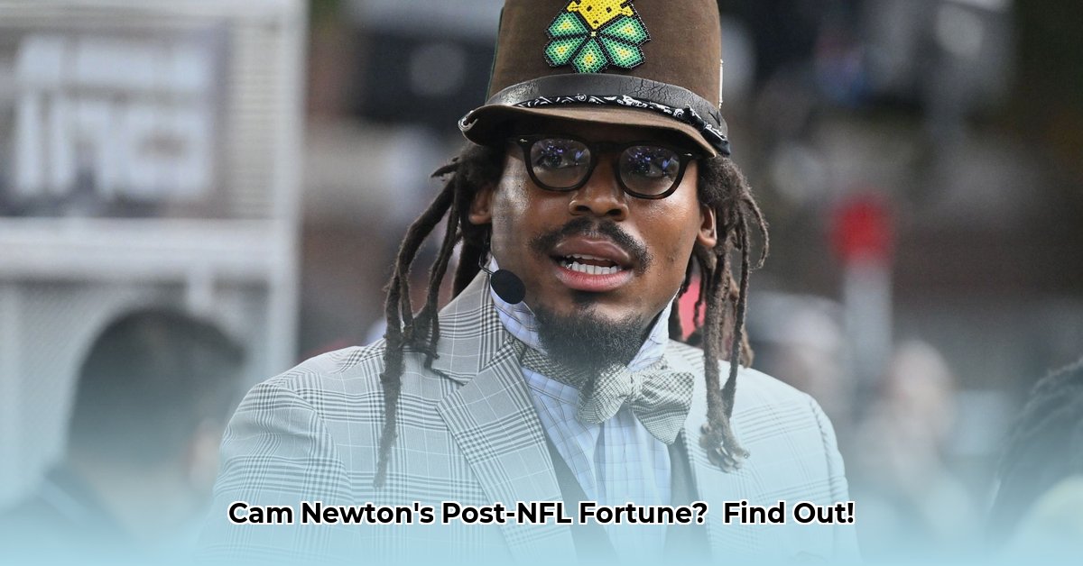 cam-newton-net-worth